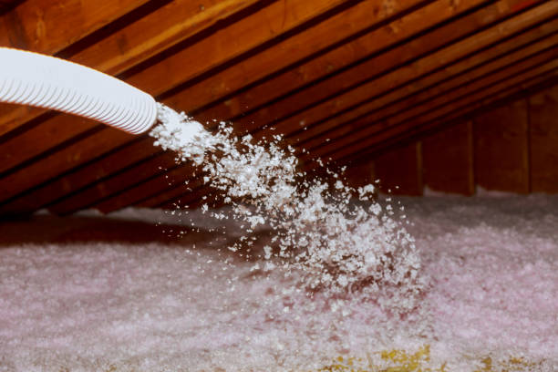 Best Soundproof Insulation Installation  in Ajo, AZ