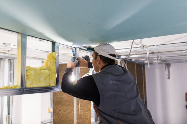 Best Insulation Replacement Services  in Ajo, AZ